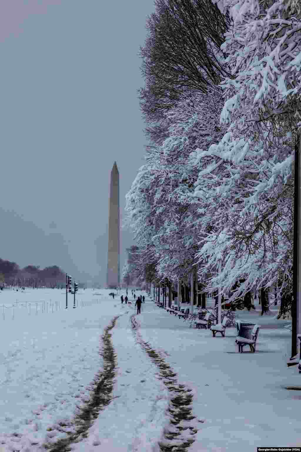 Snow in Washington D.C. - Jan 3.2022