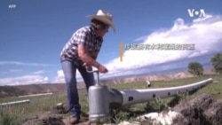 连年干旱让科罗拉多牧场主陷入困境