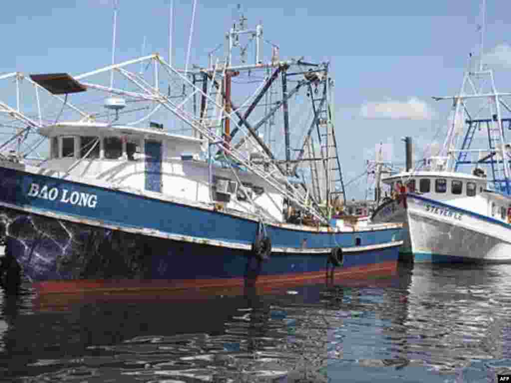 Vietnamese vessels dock at Biloxi Mississippi pier, waiting for BP’s clean- up job opportunity 07/28/2010