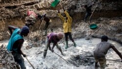 Mali: dougou djoukoro few, ina fo Sanou "OR" nafa ka ta djamana ma ye mougani dourou ye. 23%.