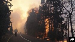 Vehicles drive on a road during a wildfire in the Carmel Heights near Haifa, northern Israel, 2 Dec 2010