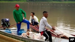 ARCHIVO - Los pescadores se unen a las embarcaciones para pasar el pescado pirarucu a una embarcación motorizada, al frente, utilizada para transportarlo más rápido al barco procesador en un lago en Carauari, Brasil, el 6 de septiembre de 2022.