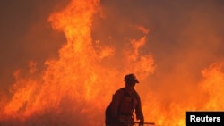 Seorang petugas pemadam kebakaran berupaya memadamkan api dalam kebakaran Hughes yang melanda wilayah Castaic Lake, California, pada 22 Januari 2025. (Foto: Reuters/David Swanson)