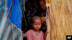 FILE - The daughter of a herder family stands in the doorway of their hut near Kuruti, in Garissa County, Kenya, Oct. 27, 2021.