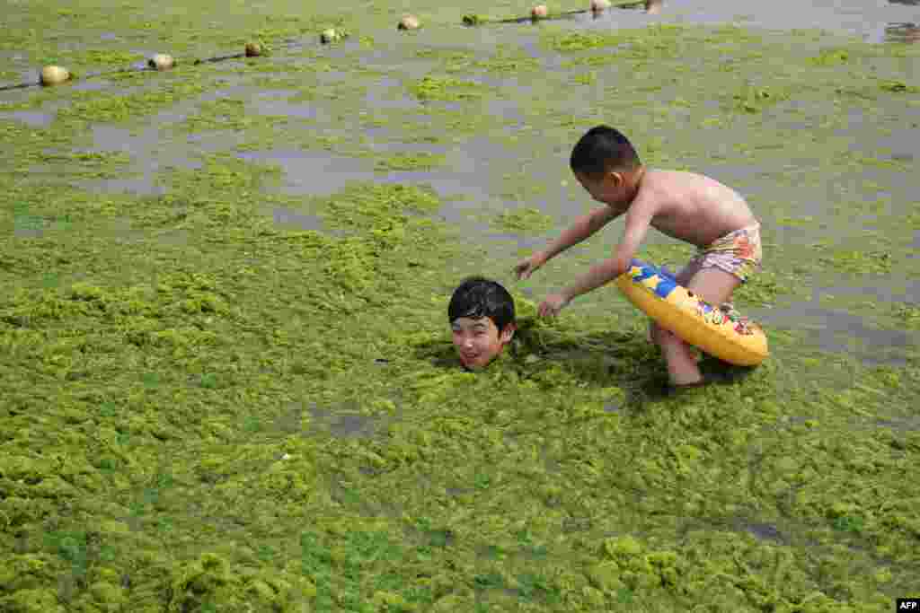 Children playing with algae on a beach in Qingdao.&nbsp; Chinese authorities in Qingdao has been dealing with huge growth of algae for the past seven years.