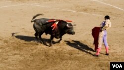 Las corridas de toros están autorizadas en todo el territorio continental de España. La única excepción son las Islas Canarias, donde fueron prohibidas en 1991.