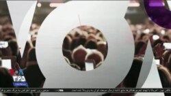 اخبار شامگاهی