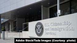 اداره خدمات شهروندی و مهاجرت ایالات متحده آمریکا - آرشیو