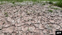 Photo show the dried-up bed of the river "Po," due to exceptional drought while Italy is affected by a heat wave, June 23, 2017, near Piacenza northern Italy. 