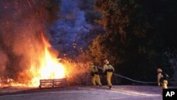 Más de 200 hectáreas de bosque y maleza se quemaron. Dos casas fueron afectadas y un edificio comercial destruido. 