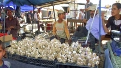 Farmers Market Reopens in East Mosul After Ouster of IS