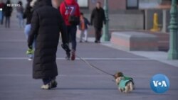 e91e5e2c-f94c-404e-bc61-a3bfb2b84df1_original.mp4