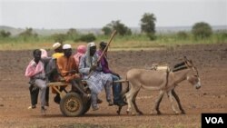 Penduduk Niger berkendara dokar yang ditarik keledai di Niamey (11/9). Diyakini mantan pemimpin Libya, Moammar Gaddafi melanjutkan perjalanannya melintasi gurun pasir menuju Niger (Foto:dok).