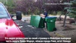 Застрять в мусорном баке