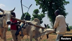 The agricultural season looks bleak in Zimbabwe as farmers claim that they were not paid by the GMB for farm produce delivered last year.