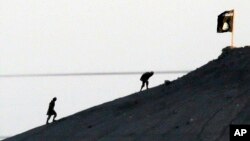 Militants with the Islamic State group are seen after placing their group's flag on a hilltop at the eastern side of the town of Kobani, Syria.