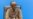 Rwanda's Kagame slams criticism of east Congo offensive as rebels push south