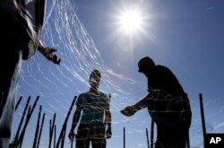 FILE - gillnetters repair a net near the mouth of the Columbia River in Astoria, Oregon, Sept. 7, 2012. President Joe Biden has ordered federal agencies to restore fish populations to Columbia River Basin.