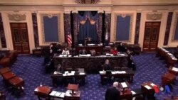 Senat Tramp vazirlik lavozimlariga tayinlagan arboblarga ovoz beradi