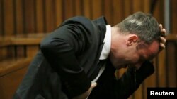 The Pistorius Murder Trial