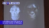 VOA60 Africa - Scientists have found 3.8-million-year-old skull of an early human in Ethiopia