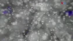 بي بي شیرینه – وي او اې ډيوه په ټیلې ویژن