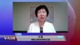 VOA连线：安倍为何表态与中国合作一带一路