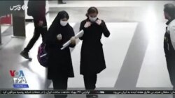 اخبار شامگاهی