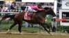 War of Will Wins Preakness, Holds Off Riderless Horse