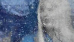 بي بي شیرینه – په ټیلې ویژن