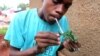 Ugandans Try to Tackle Growing Drug Problem