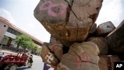 China-Myanmar Border Logging