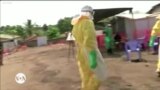 Marburg Virus Disease Hits West Africa