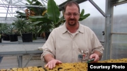 Inmate Toby Erhart sows Harsh Indian Paintbrush seeds in the Stafford Creek Corrections Center conservation nursery. (Tom Banse/VOA)