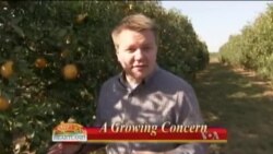 Buenos Días América