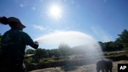 Nhân viên Vườn thú dùng vòi nước để làm mát cho một con voi khi nhiệt độ lên cao, tại Vườn thú Dallas, ở Dallas, Texas, ngày 30/6/2023.