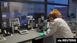 A Johnson & Johnson scientist works in a laboratory during the development and testing of the Janssen coronavirus disease vaccine. (Johnson & Johnson/Handout via Reuters)