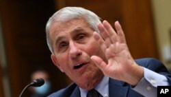 El doctor Anthony Fauci, director del Instituto Nacional de Alergias y Enfermedades Infecciosas, testifica durante una audiencia del Subcomité de la Cámara de Representantes sobre la crisis del coronavirus, el viernes 31 de julio de 2020 en Capitol Hill en Washington.