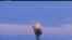 Footage from North Korean TV shows the recent SLBM test that video analysis suggests was a dud.