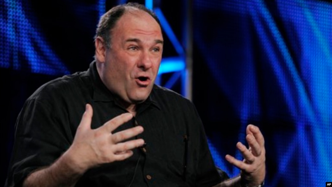 James Gandolfini berbicara pada wartawan dalam sebuah acara yang diadakan oleh stasiun televisi HBO di Pasadena, California, pada 2011. (AP/Chris Pizzello)