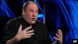 James Gandolfini berbicara pada wartawan dalam sebuah acara yang diadakan oleh stasiun televisi HBO di Pasadena, California, pada 2011. (AP/Chris Pizzello)