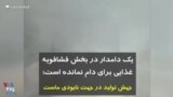 یک دامدار در بخش فشافویه: غذایی برای دام نمانده است؛ جهش تولید در جهت نابودی ماست