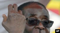 Zimbabwe's President Robert Mugabe (File Photo)