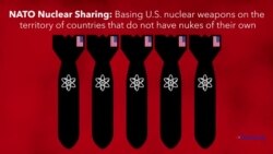 Explainer: Nuclear Sharing