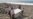 Wing Flap Found in Tanzania Confirmed to Be Part of MH370