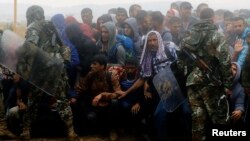 Migranti na granici Grčke sa Makedonijom, 10. septembar 2015.