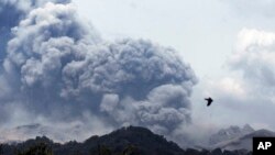 Erupsi Gunung Kelud, terlihat dari desa Anyar, Blitar, Jawa Timur (14/2).