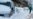 New England Bears Brunt of US Blizzard