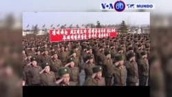 Manchetes Mundo 16 Fevereiro 2017: Kim Jong Un homenageia o pai