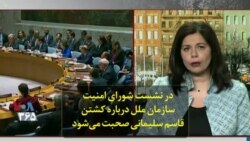 در نشست شورای امنیت سازمان ملل درباره کشتن قاسم سلیمانی صحبت می‌شود